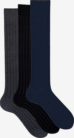 Gambaletto '3 Pack Calze Lunghe Fantasia - Confezione Regalo - Ciocca' di Ciocca in blu: frontale
