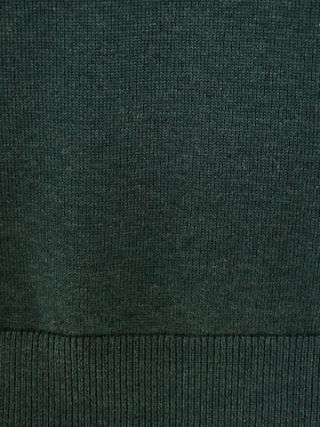 Funky Buddha Tröja i grön