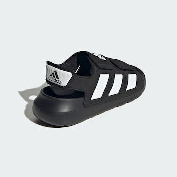 ADIDAS SPORTSWEAR Sandaalit 'Altaswim 2.0' värissä musta