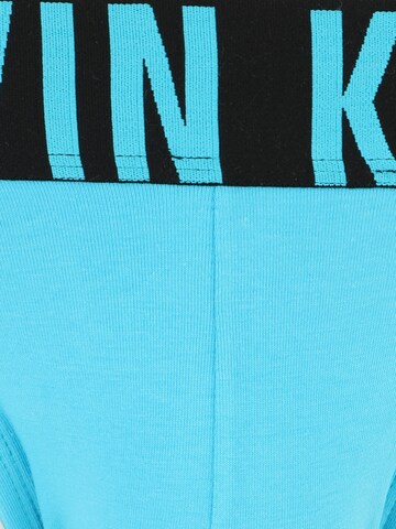 Calvin Klein Underwear Regular Slip in Blue