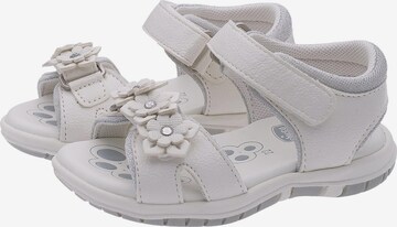 CHICCO Sandals in White