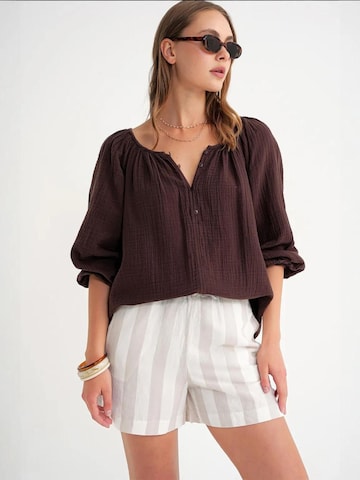 MixRay Bluza | rjava barva