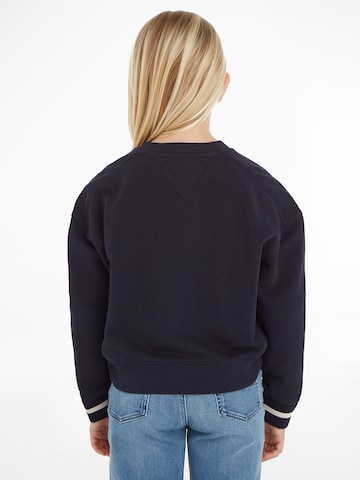 TOMMY HILFIGER Sweatshirt in Blauw