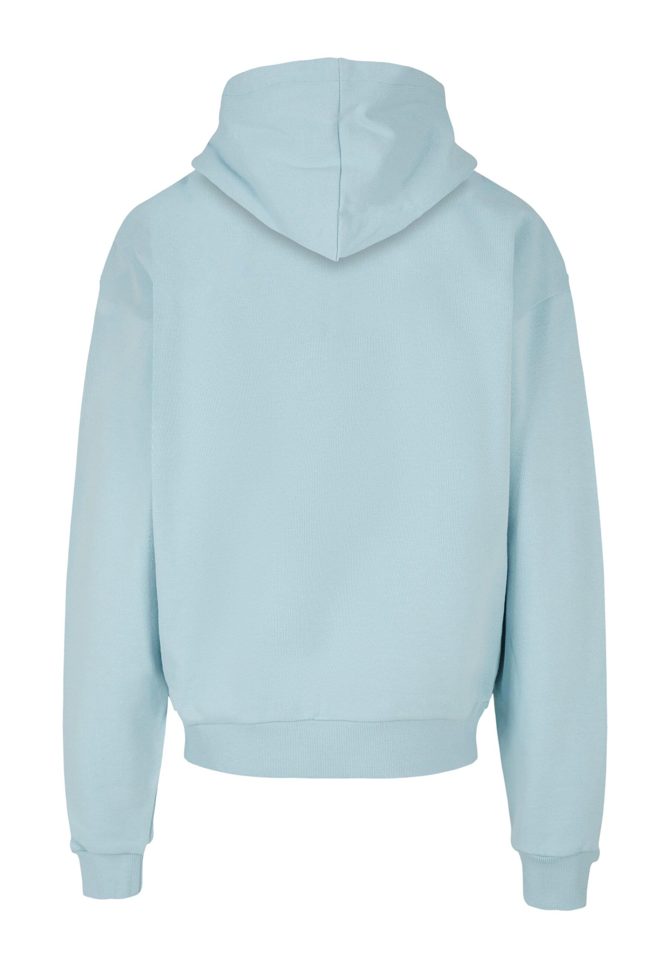 Merchcode Sweatshirt 'APOH - Picasso Dove' in Blauw
