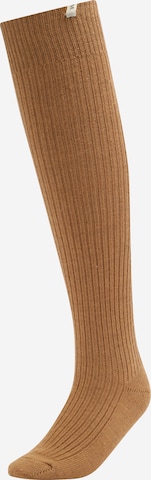 Guido Maria Kretschmer Women - Calcetines hasta la rodilla 'Elfi' en marrón: frente