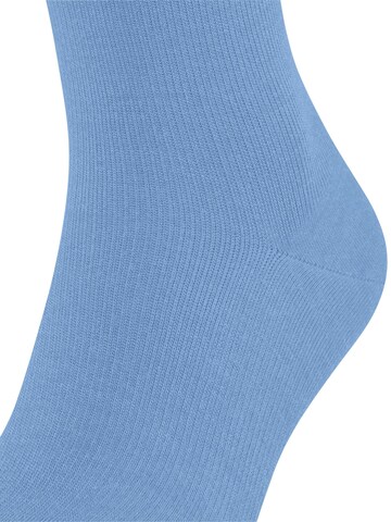 FALKE Knee High Socks 'Energizing Wool' in Blue