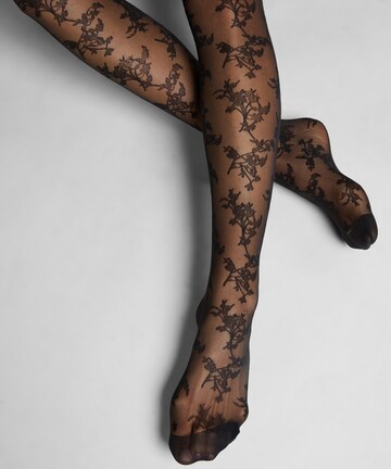 Hunkemöller Overknee Strümpfe in Schwarz