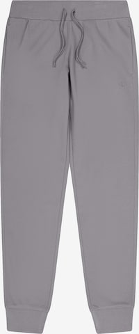 Champion Authentic Athletic Apparel Tapered Hose in Grau: Vorderseite