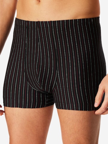 SCHIESSER Boxer shorts '95/5 Essentials' in Black