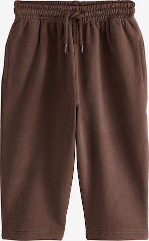 Next Trousers in Brown: front