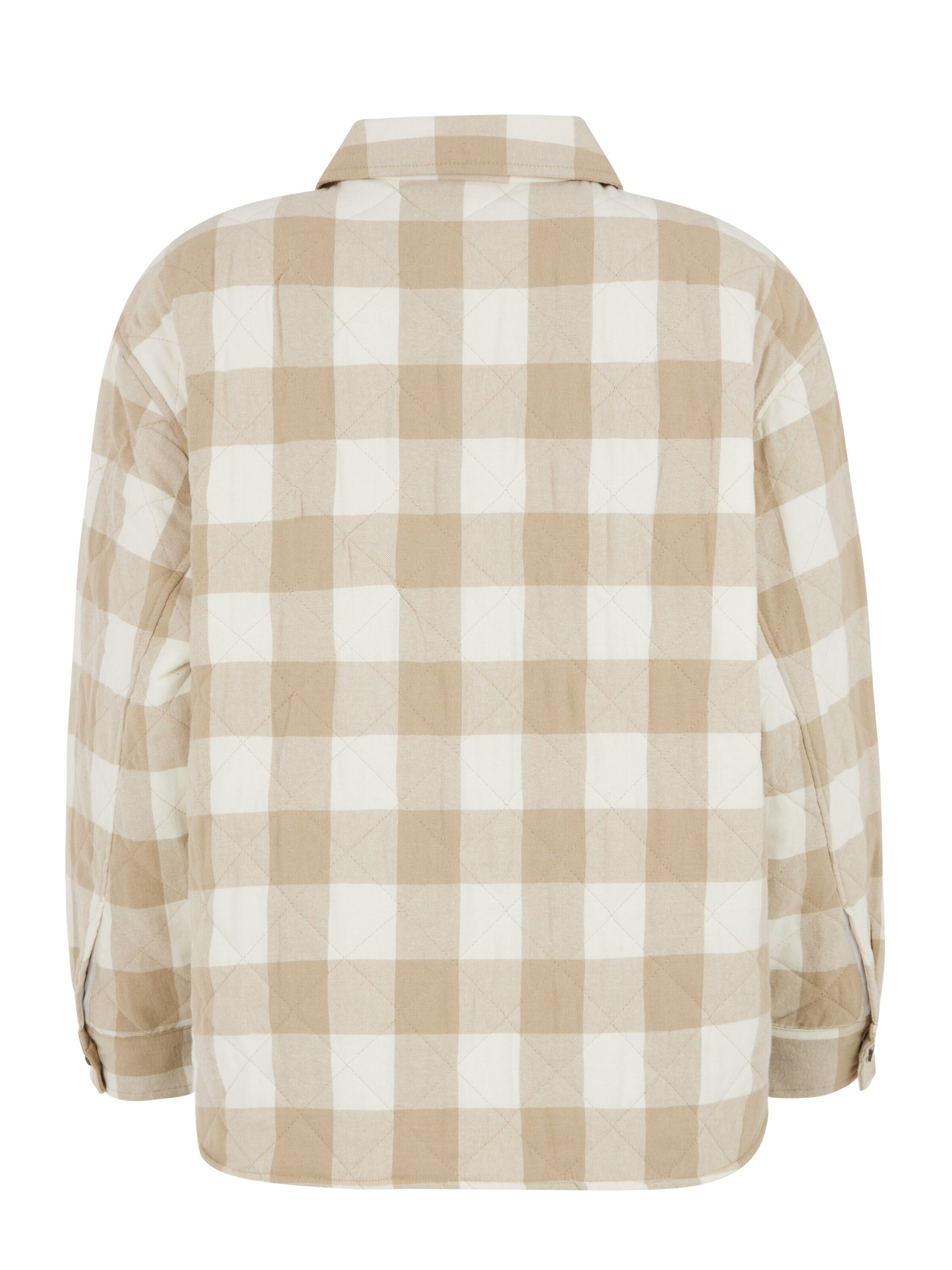 PROTEST Winter Jacket 'PRTOHTA' in Brown