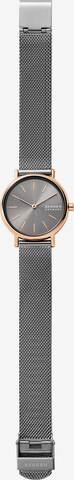 SKAGEN Analog Watch in Grey