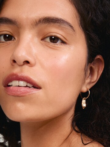 Pilgrim Earrings 'Breeze' in Gold