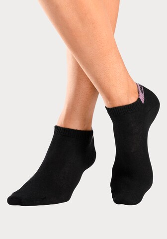 BENCH Socks in Black