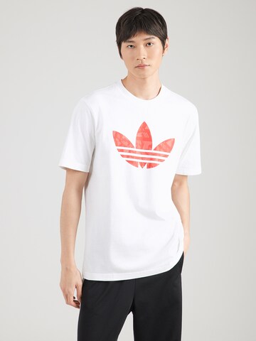 ADIDAS ORIGINALS Tričko - Biela: predná strana