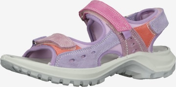 Sandales de randonnée IMAC en violet : devant