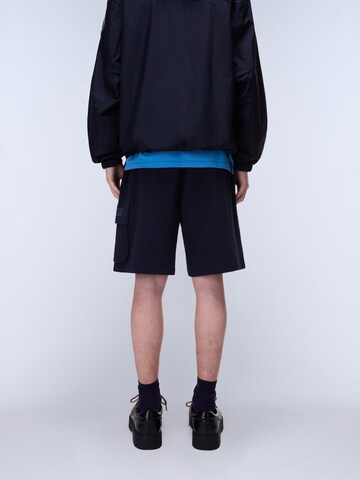 NAPAPIJRI Štandardný strih Nohavice 'N-BOX LOGO CARGO' - Modrá