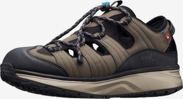 Joya Athletic Lace-Up Shoes in Brown: front