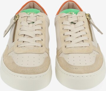 Paul Green Sneaker in Beige