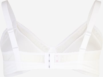 Tommy Hilfiger Underwear Plus Trojúhelníková Podprsenka – bílá