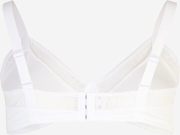 Tommy Hilfiger Underwear Plus Triangle Bra in White