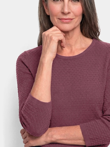Goldner Pullover in Lila