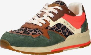 SCOTCH & SODA Sneakers laag 'Vivi' in Groen: voorkant