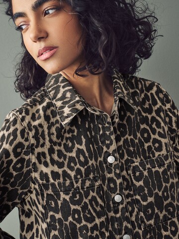 Next Shirt dress in Brown