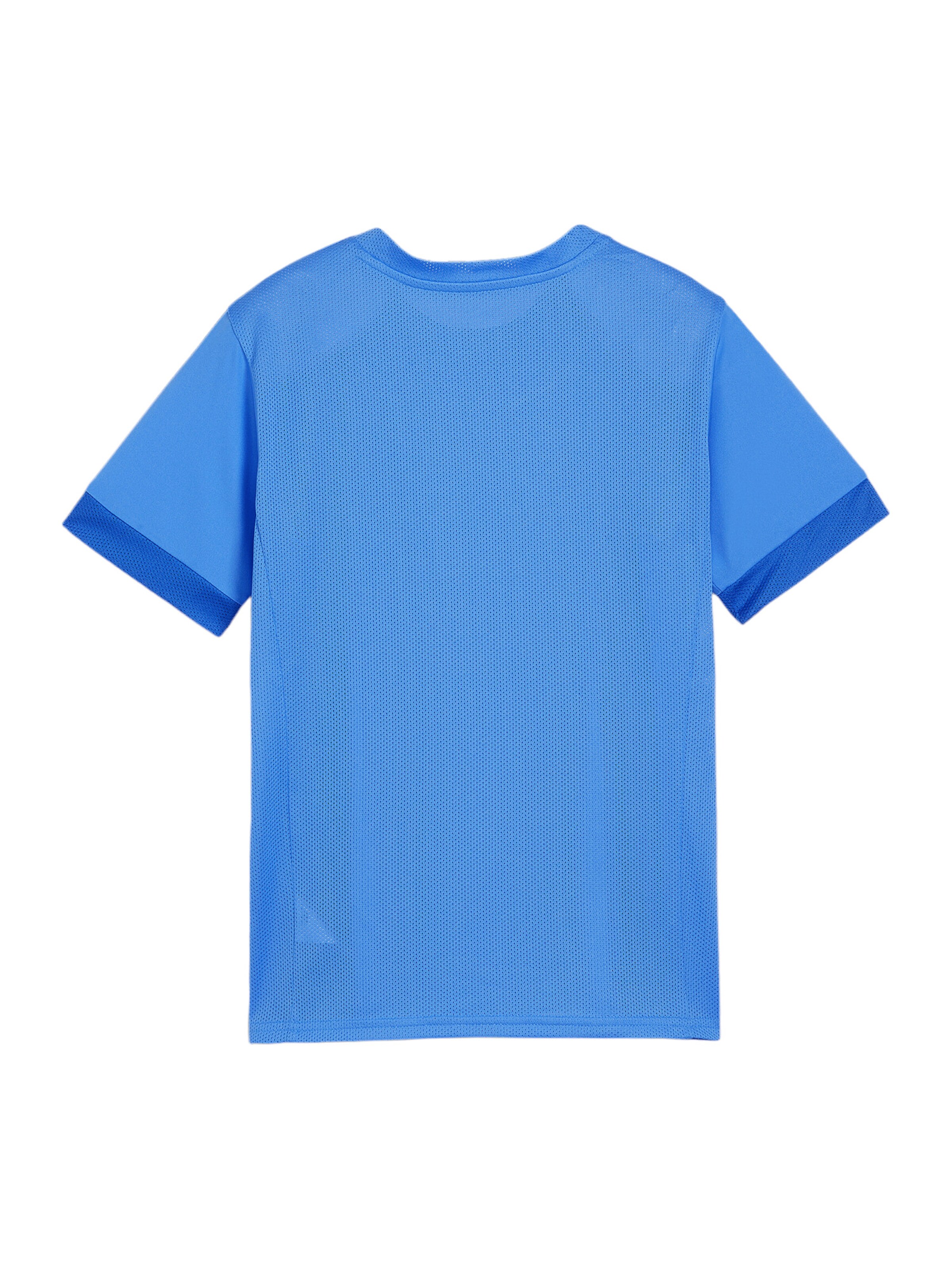 PUMA Performance Shirt in Blue