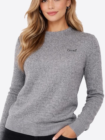 Cocain Underwear Sweater in Grey: front