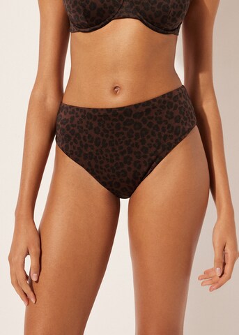 CALZEDONIA Bikini Bottoms in Brown: front