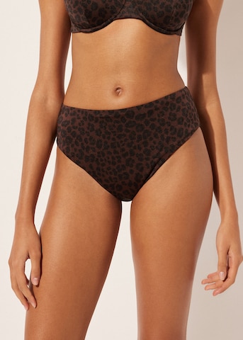 CALZEDONIA Bikini Bottoms in Brown: front