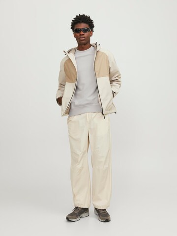 Felpa 'Collective' di JACK & JONES in beige