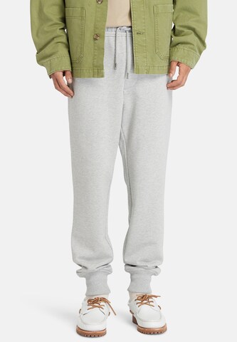 Tapered Pantaloni di TIMBERLAND in verde: frontale