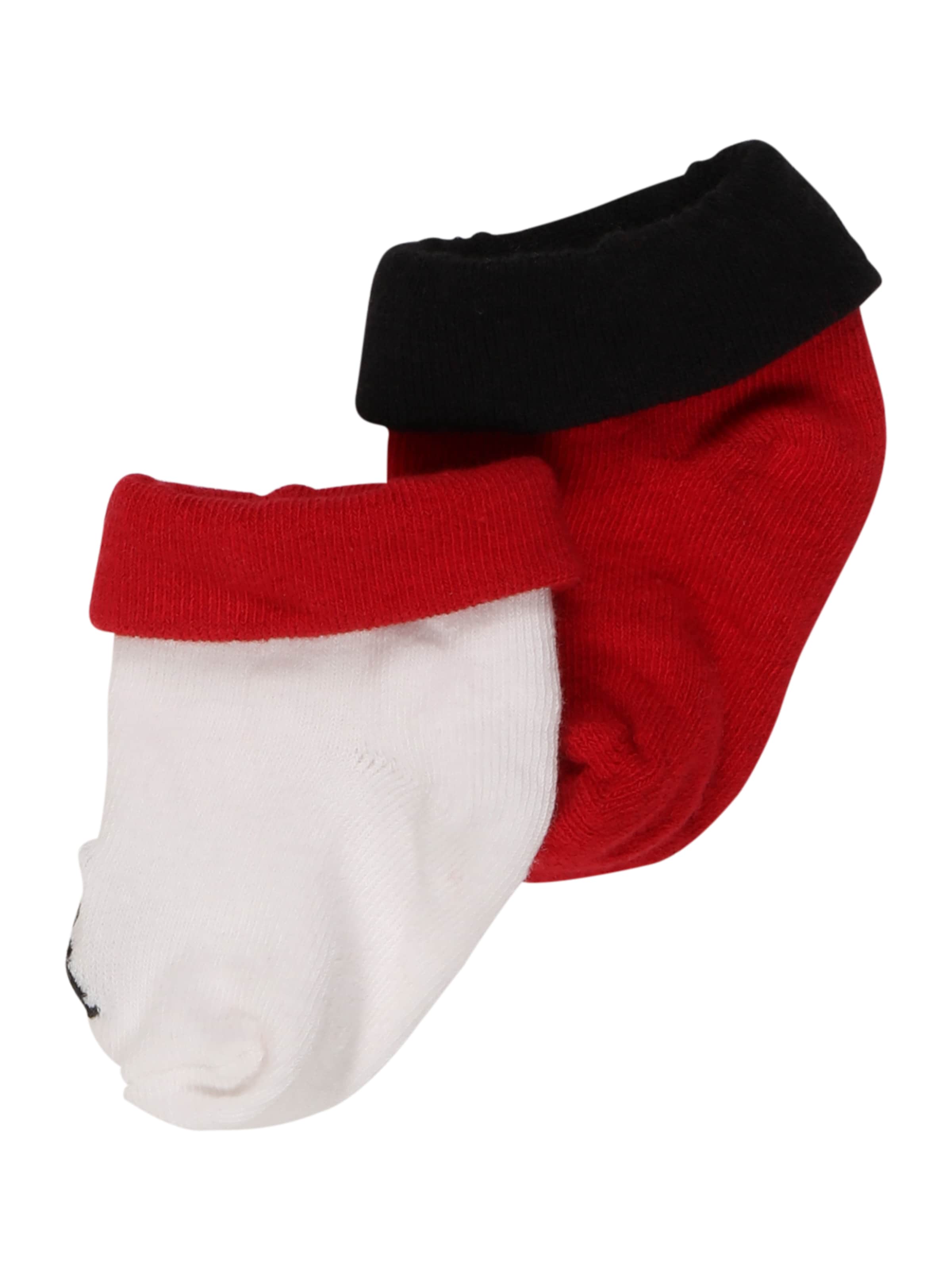 Jordan Zokni - piros: elől