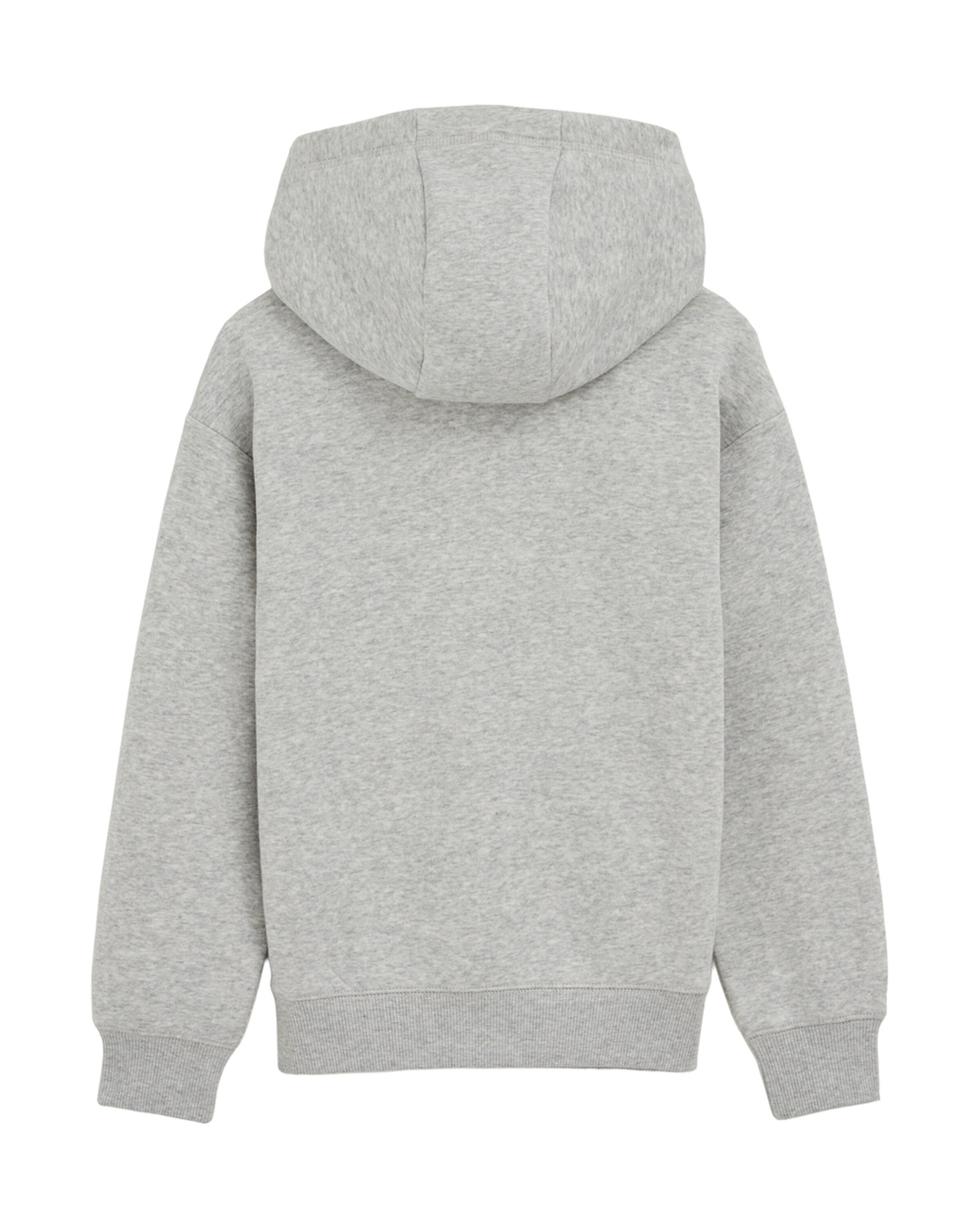 WE Fashion Sweatshirt i grå