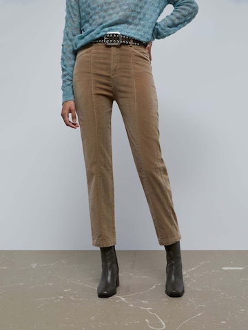 Scalpersregular Chino hlače - smeđa boja