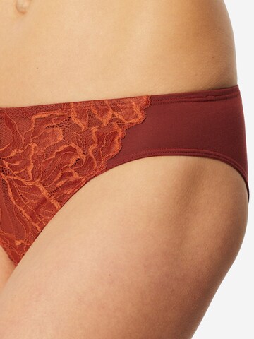 Slip ' Unique Premium ' SCHIESSER en orange