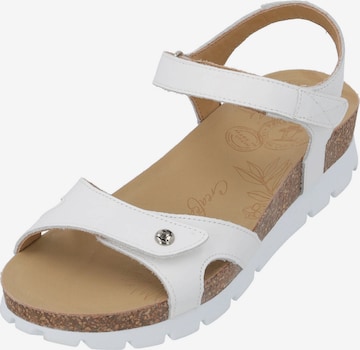 PANAMA JACK Sandals 'Sulia B' in White: front