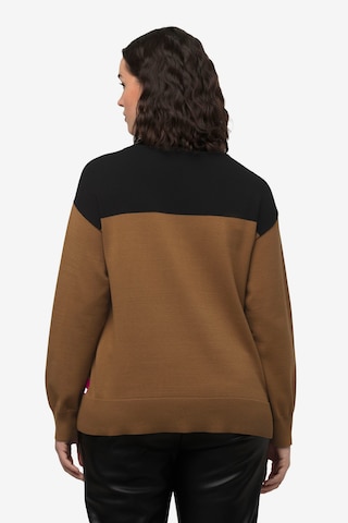 Ulla Popken Sweater in Brown