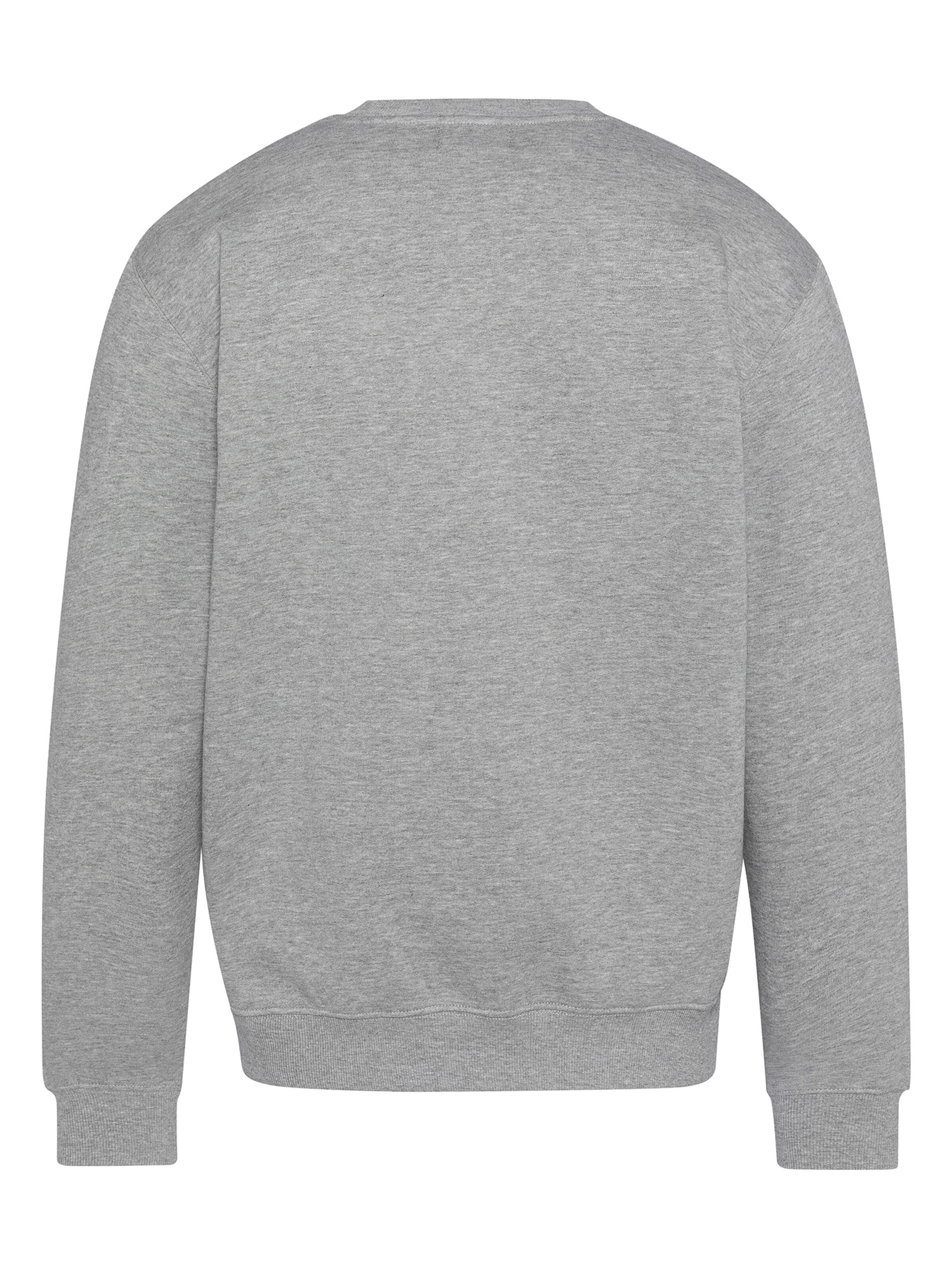 Schott NYC Sweatshirt‌‌‌‌‌‌‌‌ in Grau