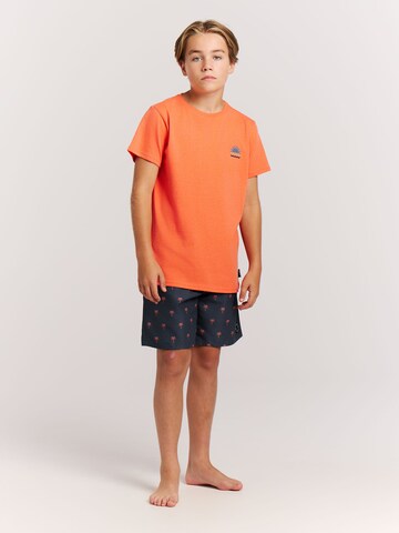PROTEST Board Shorts 'PRTCalvin JR' in Blue: front