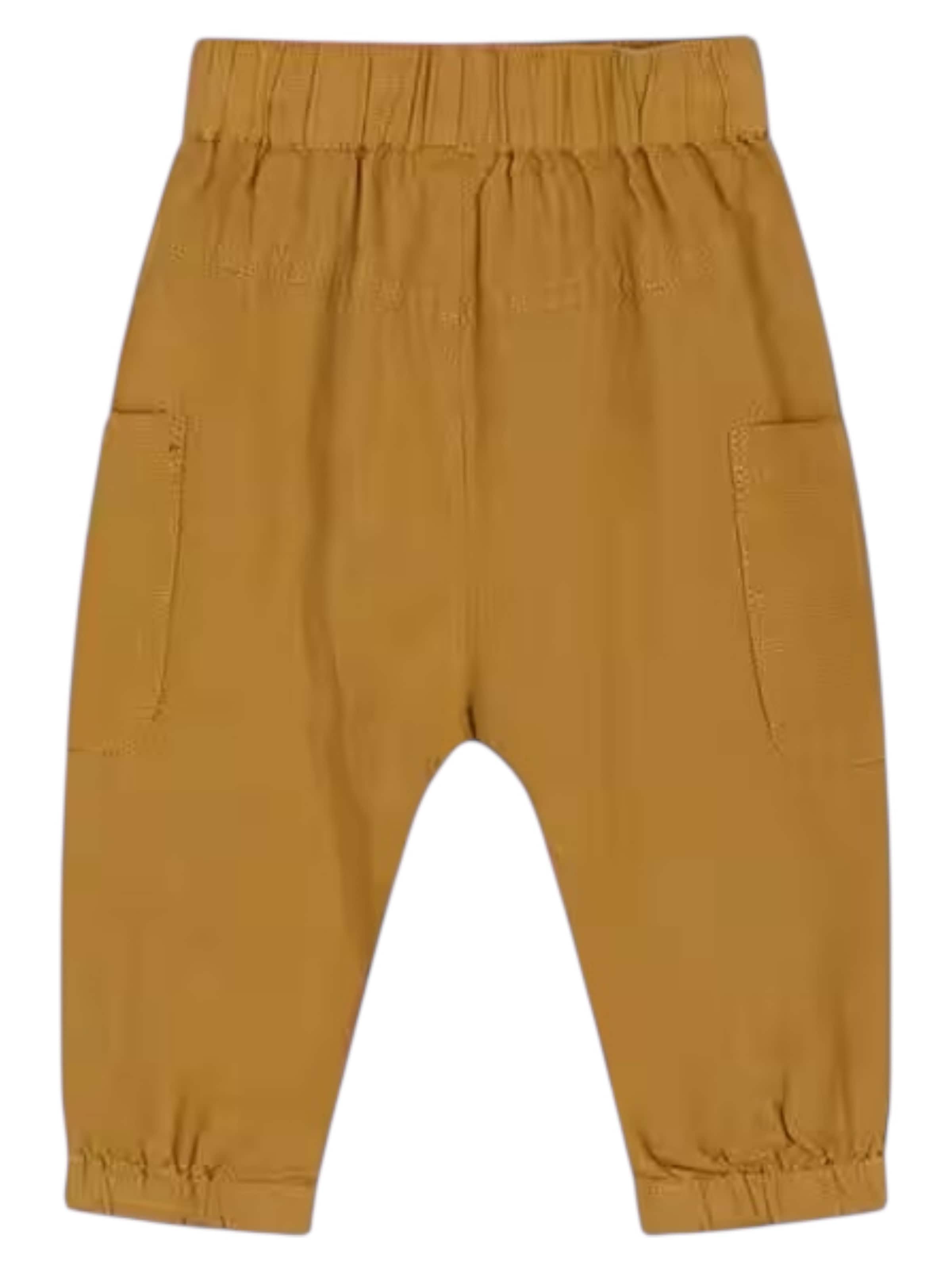 Hust & Claire Regular Pants in Brown