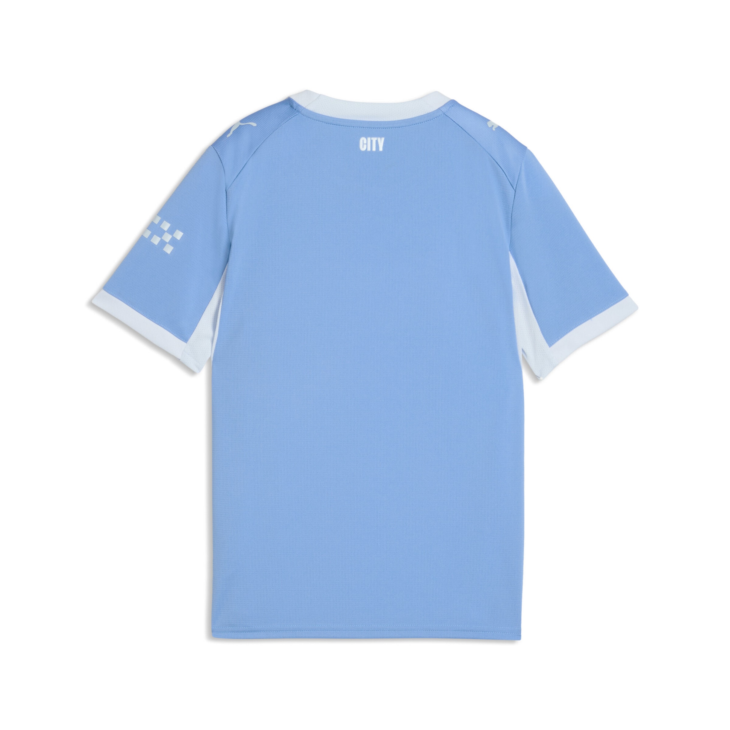PUMA Funktionsshirt 'Manchester City' in Blau