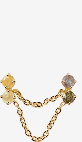 P D PAOLA Earrings in Gold: front