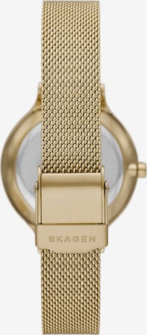 SKAGEN Analog Watch 'Freja' in Gold