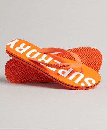 Superdry Teenslippers in Oranje