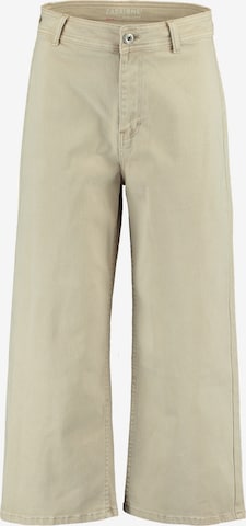 ZABAIONE Loose fit Jeans 'Evelina' in Beige: front