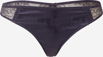 LingaDore String in Blue: front