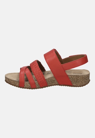 JOSEF SEIBEL Sandal 'Tonga 83' in Red